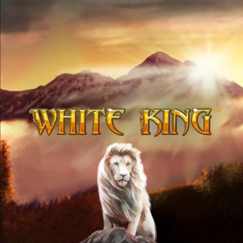 White King 坏特王